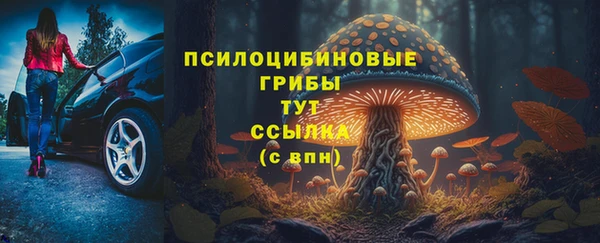 гидропоника Аркадак