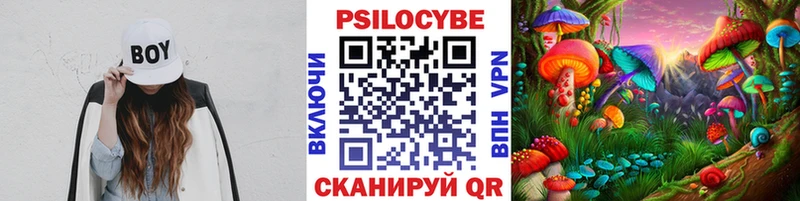 купить закладку  Богучар  Псилоцибиновые грибы мицелий 